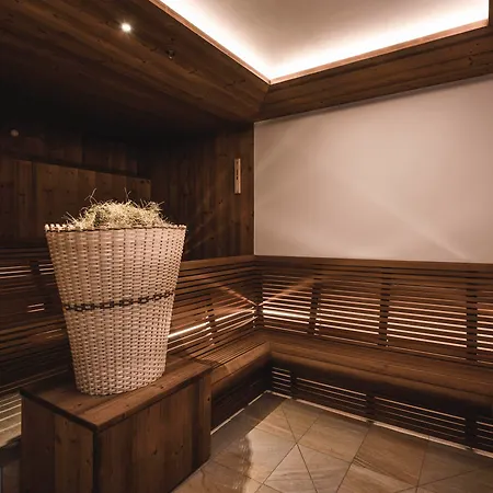 Hotel Steger-dellai 4*